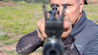 The Ruger in Irons