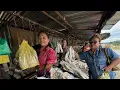 Download Lagu BANYAK IKAN MASIN BUNTAL DI TAMU MENYALIN DEBAK TEPI JALAN // PERTAMA KALI SINGGAH DISINI // 