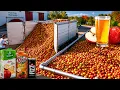 How APPLE JUICE is Made IN FACTORIES Modern Fruit Juice Making Technology