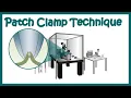 Patch clamp Electrophysiology Patch clamp method Voltage clamp whole cell recording