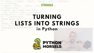 Turn a list into a string in Python with the string join method