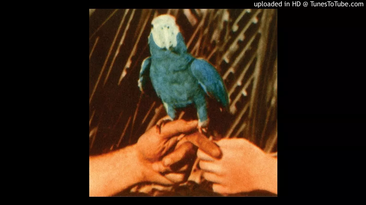Andrew Bird - Chemical Switches