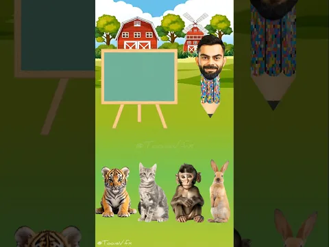 Animal Food Eating 🍗🍌🥕🐡 Lion, Cat, Monkey, Rabbit #animals #shorts