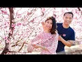 Download Lagu Bên Em Mùa Xuân remix - Fresno Blossom County Trail- nhạc Xuân sôi động hay nhất 2021-Hapy new year