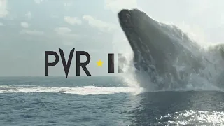 Mosasaurus strikes again Jurassic World Rebirth releasing at PVR INOX on July 4