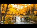 Lagu ВОССТАНОВЛЕНИЕ НЕРВНОЙ СИСТЕМЫ - Случилась осень!Мелодия осени! Почему все плачут под эту песню?