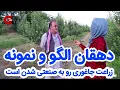 Lagu زراعت و باغداری در دهات  های افغانستان  پیشرفت چشمگیری کرده است