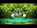 Shane Codd - It Ain't Right