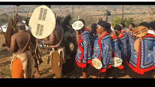  lindysuethelatebloomer umtsimba walankhosi kahlophe esigcineni traditional wedding 