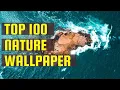 Top 100 Nature Live Wallpapers for Wallpaper Engine