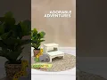 Adorable Adventures Preschool Picture Day Behind the Scenes with Lifetouch