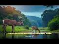 Download Lagu MAZMUR 42 : SEPERTI RUSA MERINDUKAN SUNGAI YANG BERAIR  |  By. Nusmey Salimin
