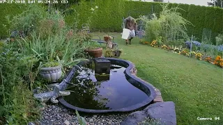 This Thief Literally Cleans Up In Chilliwack BC