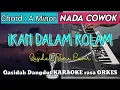 Download Lagu IKAN DALAM KOLAM - Versi Dangdut KARAOKE rasa ORKES || Nada Cowok