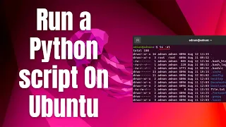 How to run a Python script On Ubuntu 22 04 LTS Ubuntu 24 04 LTS Linux