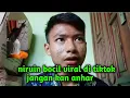 Download Lagu NIRUIN SUAR VIRAL DITIKTOK JANGAN KAN ANHAR KEPALA SEKOLAH BERANI NAMPAR NAYLA
