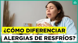 ¿Alergia o resfrío?: Las claves para diferenciar los síntomas esta primavera