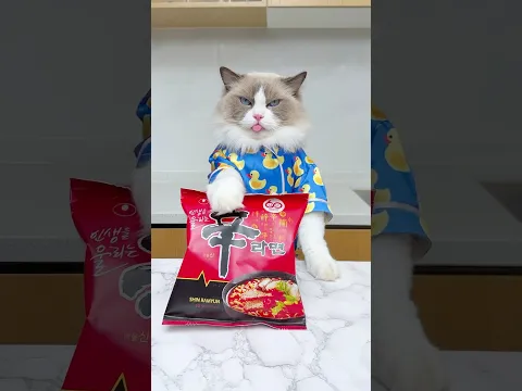 Video Thumbnail: How to remake your ramen? #thatlittlepuff #shinramen