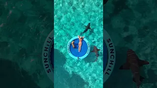 The best way to shark gaze 🦈 sunchill code: SailingZola #bahamas #shark