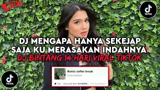 dj mengapa hanya sekejap saja ku merasakan indahnya velocity dj bintang 14 hari viral tiktok 2026 