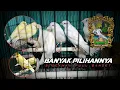 Download Lagu 1 Oktober 2025 FULL BANGET STOCK KALI INI.
