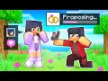 Lagu Using The PROPOSAL MOD In Minecraft!