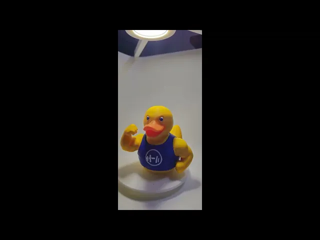 Muscle Duck in T-Shirt video thumbnail