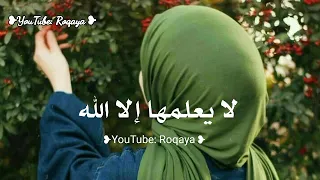 اجمل رنات اسلامية        افضل نغمات موبايل  نغمة رنين هاتف اسلامية   اناشيد دينية                  دندنها