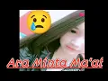 Download Lagu Ara Minta Maaf, Klarifikasi Arachuu Pramuka Viral