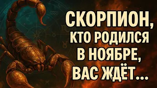 Scorpio If You Were Born In November This Period Can Change EVERYTHING Scorpio Horoscope For N 