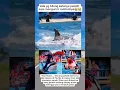 Viral dunia ‼️pelatih di Florida-dimakan ikan paus orca🐋😱 #fyp #Viral #reelsfyp #pausorca #jesicc