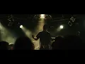Movements - Daylily (Live in Perth, Aus)