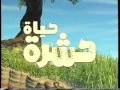 Download Lagu Opening to A Bug's Life 1999 VHS [ Arabic ] مقدمة شريط فيديو حياة حشرة