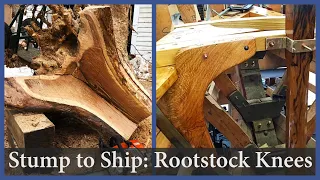 White Oak Rootstock Knees – Episode 141 – Acorn to Arabella: Journey of a Wooden Boat