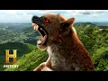 TERRIFYING El Chupacabra Found Included The Proof Is Out There History