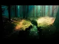 Download Lagu The Ambientalist - The Hidden Path (2020 Extended Mix)