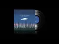 Jon Hopkins ‎– Immunity (Asleep Versions)
