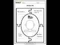 Put a label worksheet body parts