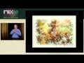 MIX10 IronRuby for the NET Developer