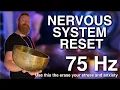 Download Lagu Nervous System Reset | 75 HZ Low Frequency Sound Healing | 3 hour