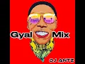 Download Lagu Vybz Kartel Ladies/ Gyal Mix 2025 |DJ ANTZ