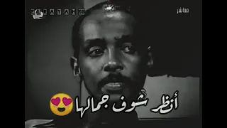 محمود عبد العزيز الحوت خداعة حالات واتساب 