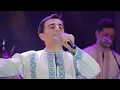 Lagu Nicolae Gribincea și Ansamblul Plăieșii - Frunzuliță troscoțelu