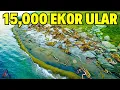 Download Lagu Pulau Paling Bahaya di Dunia