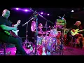 The Mermen - The Goodbye (Live 2016)