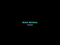 Blue Reveal In Action - Source Code Visualization in 3D