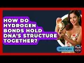 How Do Hydrogen Bonds Hold DNA s Structure Together - Firsts of the World