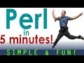 How to create your first PERL script in 5 minutes Energetic presentation