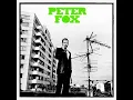 Schwarz zu blau - Peter Fox