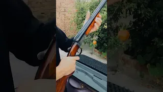 Robust 288 France Shotgun 